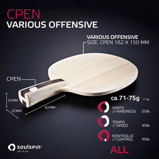 VARIOUS OFFENSIVE