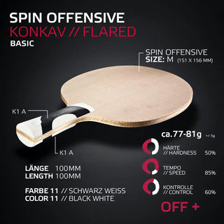 SPIN OFFENSIVE