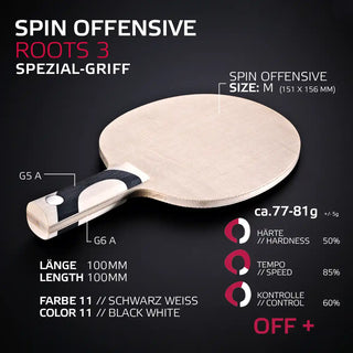 SPIN OFFENSIVE