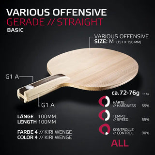 VARIOUS OFFENSIVE