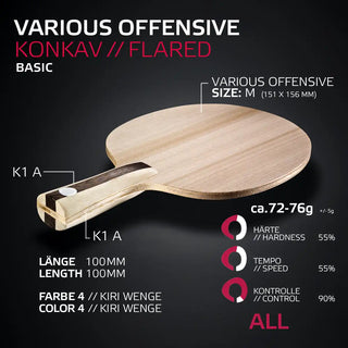 VARIOUS OFFENSIVE
