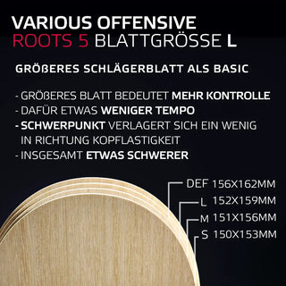VARIOUS OFFENSIVE