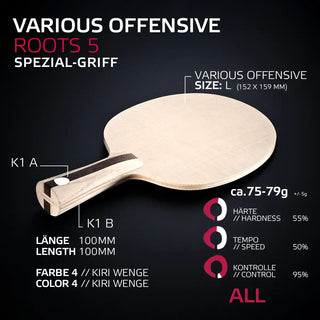 VARIOUS OFFENSIVE