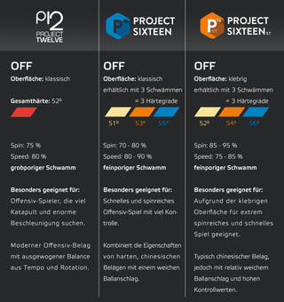 Project 12 SOULSPIN