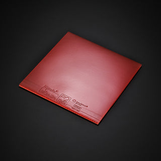 Project 12 SOULSPIN